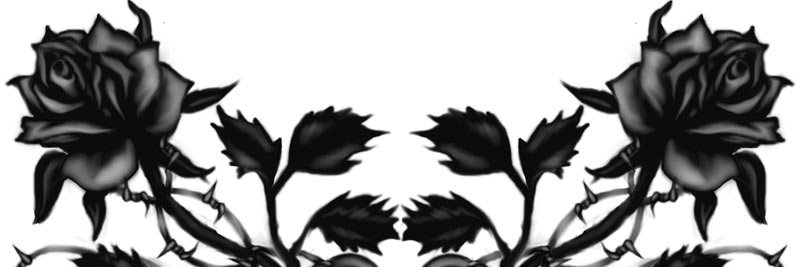 SiennaIsAEmo's profile banner image