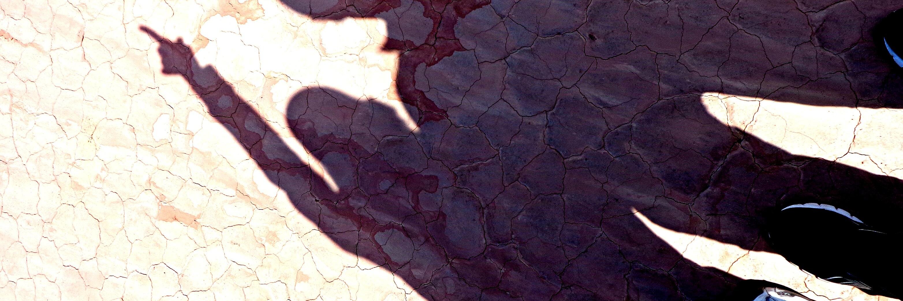 ColonnaAlbertoO's profile banner image