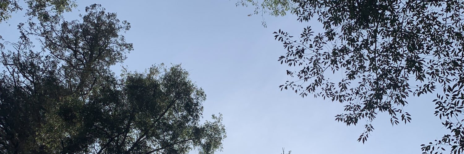 MartinILubian's profile banner image