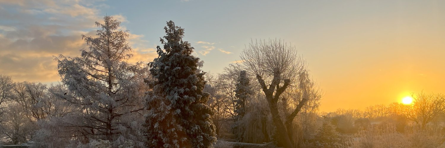 Chris Stephenson banner