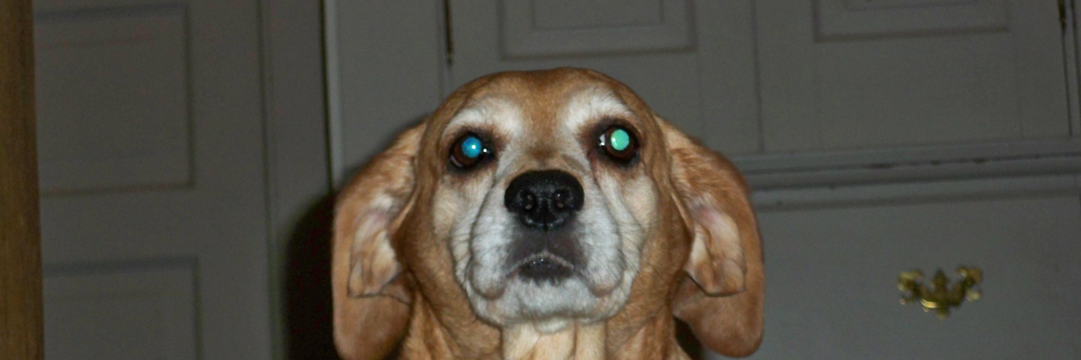 AndyMaan's profile banner image