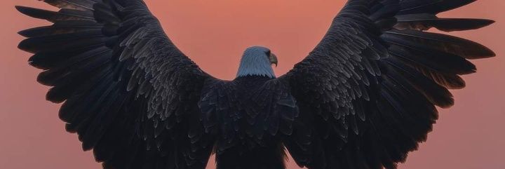 MirSunay's profile banner image