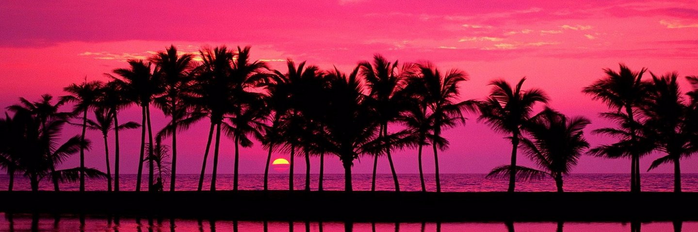 xMewton's profile banner image