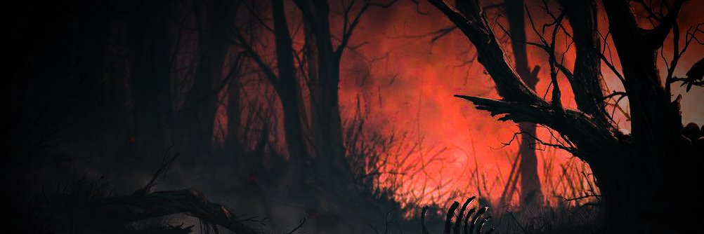 rojasdracul's profile banner image