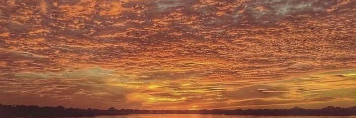 Frida_Guapa's profile banner image