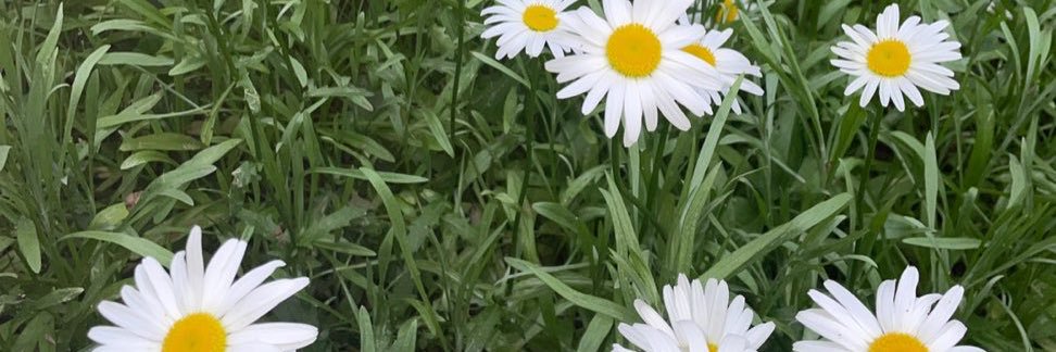 naylayh's profile banner image