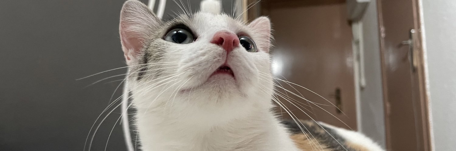 Melisagb_'s profile banner image