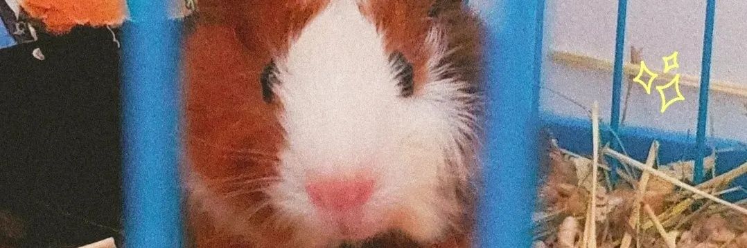 _klairdelune's profile banner image
