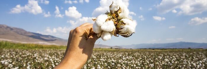 František Ferebauer banner