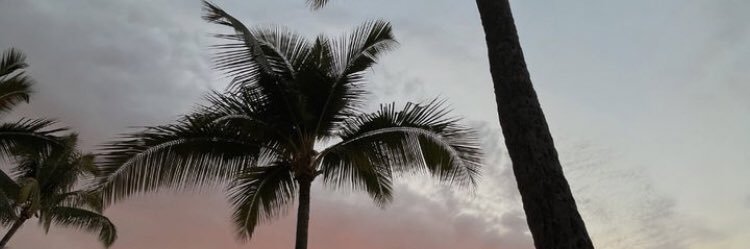 squreball22's profile banner image