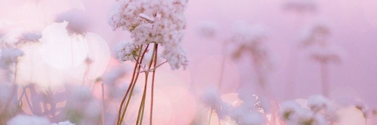 jyrenze's profile banner image