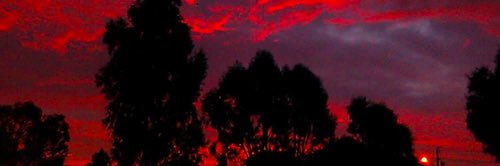 shanttt_'s profile banner image