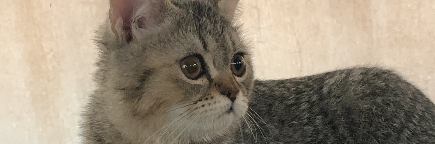 Bxik77's profile banner image