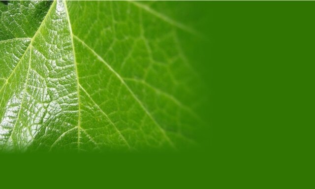 andra8681's profile banner image