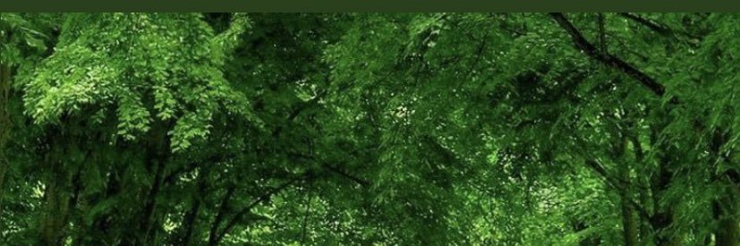 sefikkucuk's profile banner image