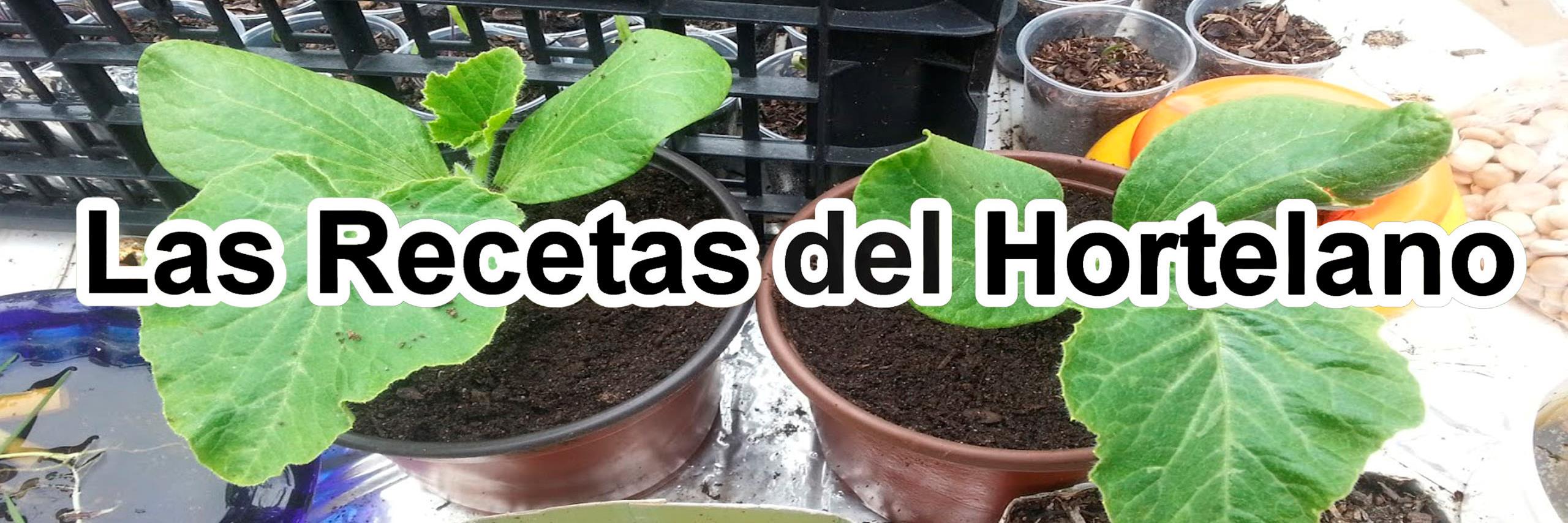 Recetahortelano's profile banner image