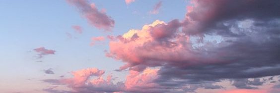 PrettyWreaths's profile banner image