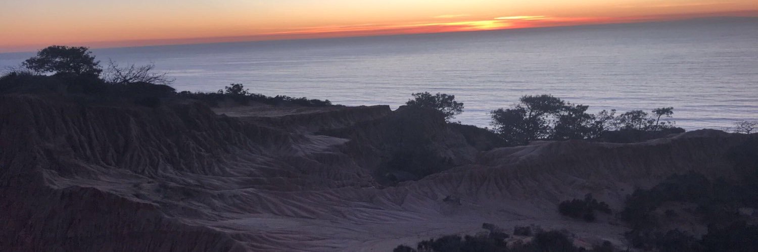 NES_IS_DXPE's profile banner image