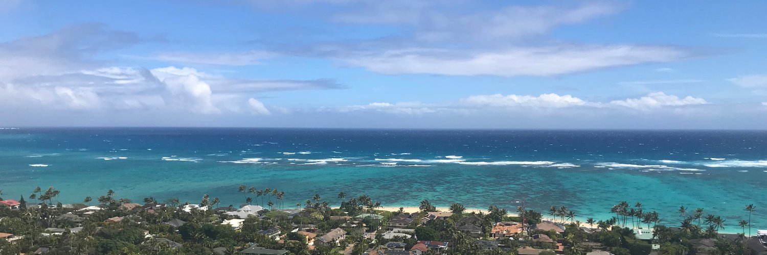 Emily Kickham banner