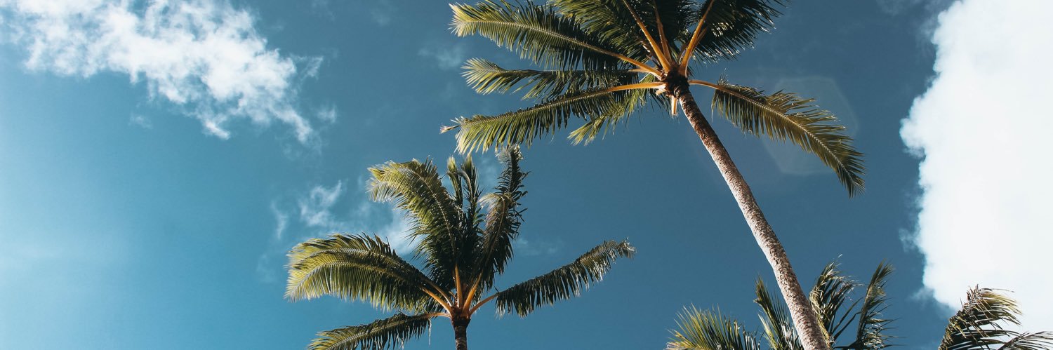 cgfg_'s profile banner image