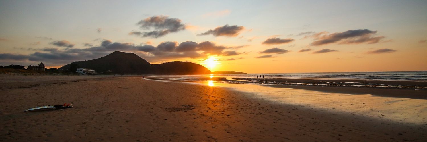 Dave Nicholson banner