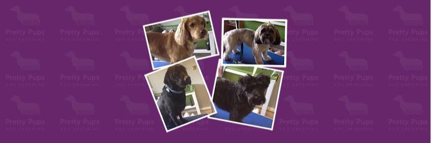 prettypupsgroom's profile banner image