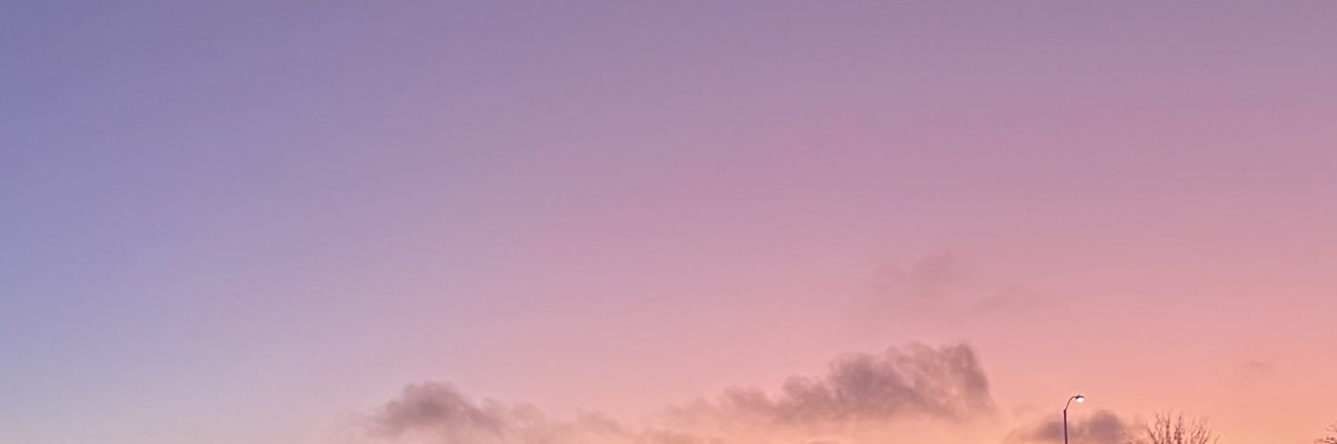 camiladelarocha's profile banner image