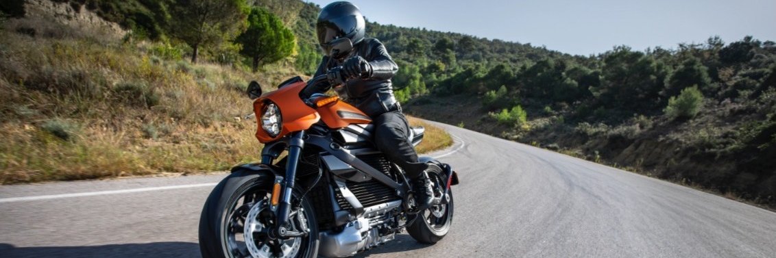 HarleyDavidsonForums banner