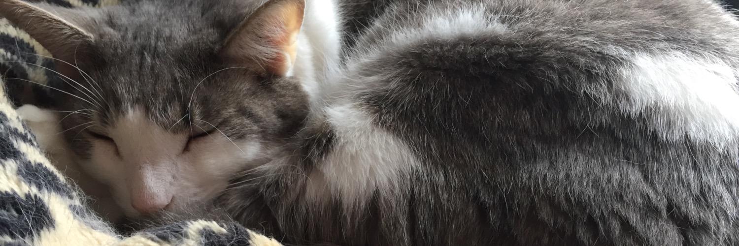 amandahatto's profile banner image