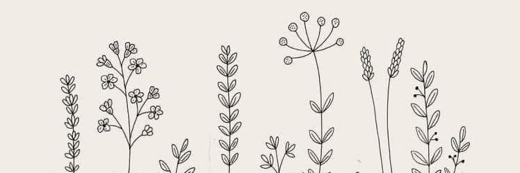 MadisonLStoner's profile banner image