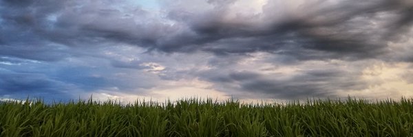 lavozgerald Profile Banner