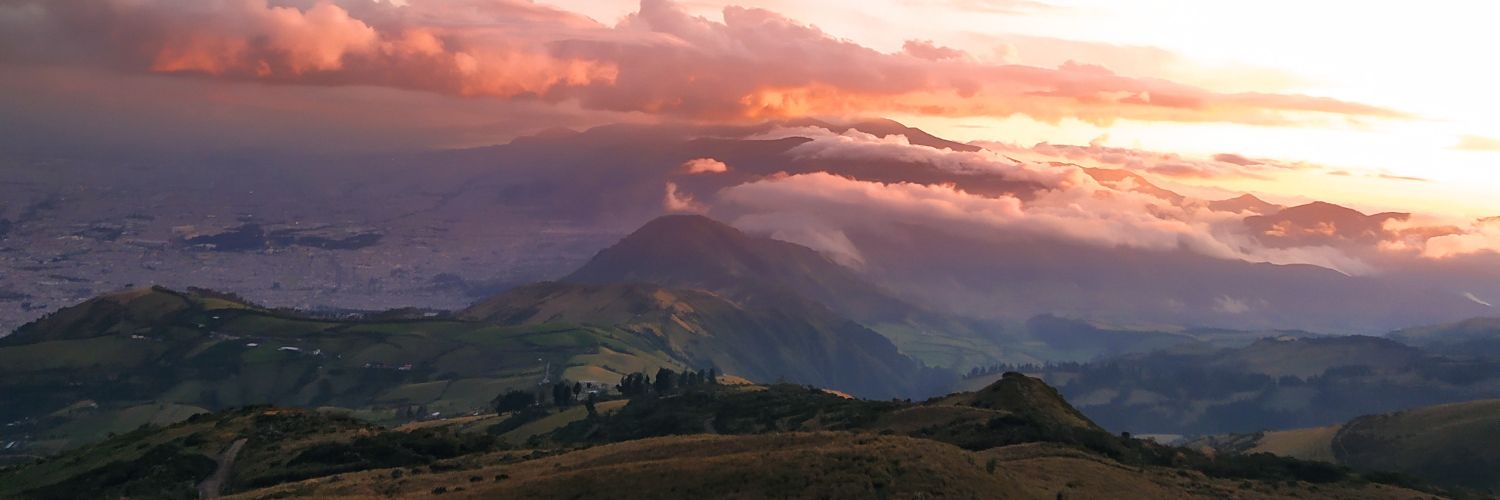 Fernando Rodriguez banner