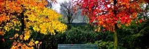 tanyatoona's profile banner image