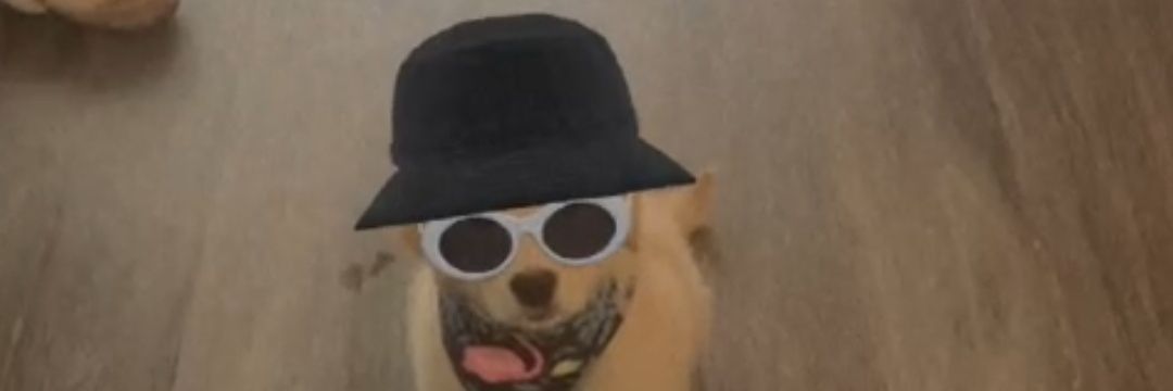mlw___'s profile banner image