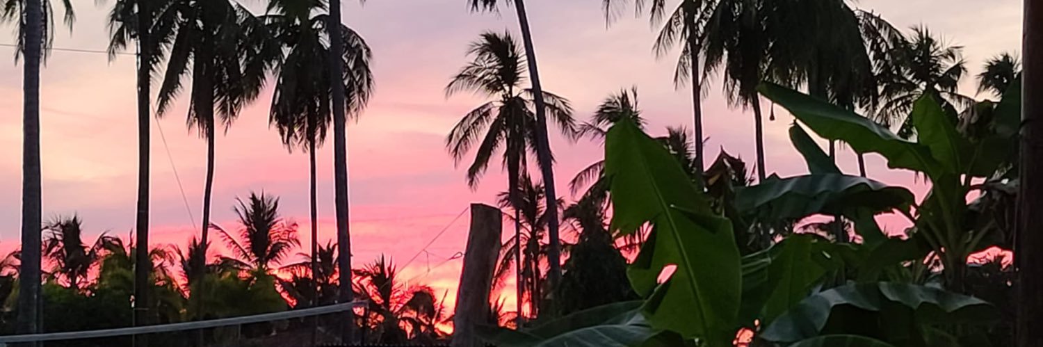 PWarrior98's profile banner image
