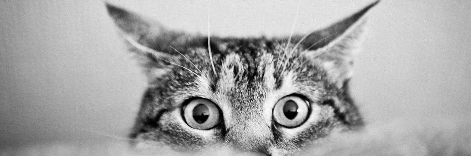 queli_castillo's profile banner image