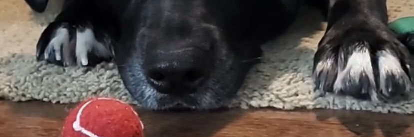 nraebel's profile banner image