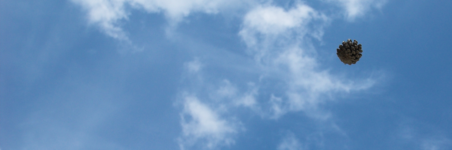 studio_doli's profile banner image