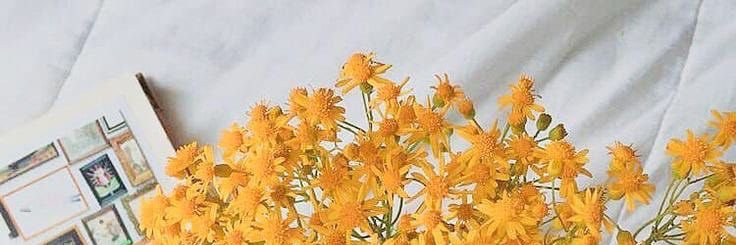 layali_8's profile banner image