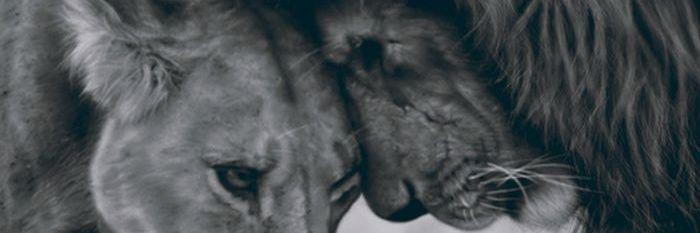 Monique_Can's profile banner image