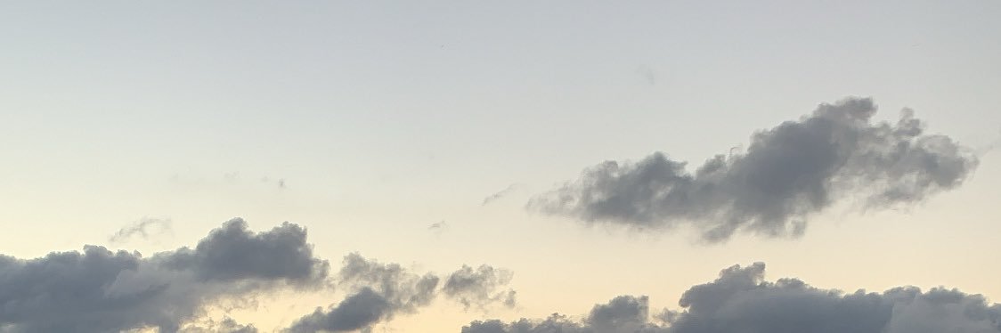 lisduartee's profile banner image