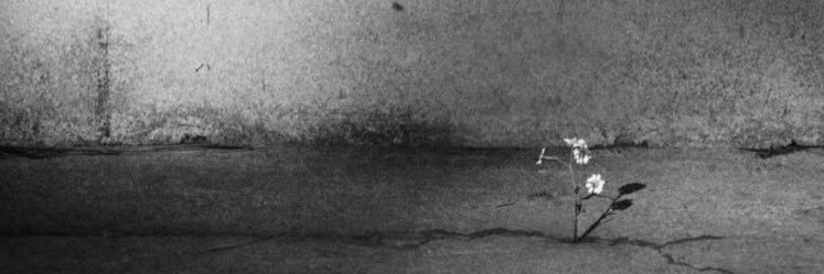 ixFreeWind's profile banner image