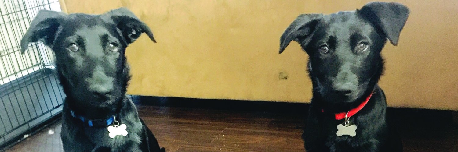 AndrewMejiaa's profile banner image
