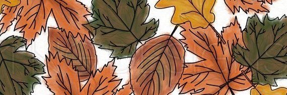 teticar's profile banner image