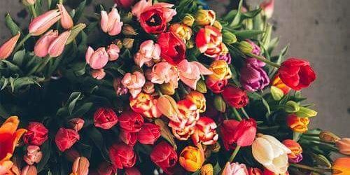 seba_waleed's profile banner image