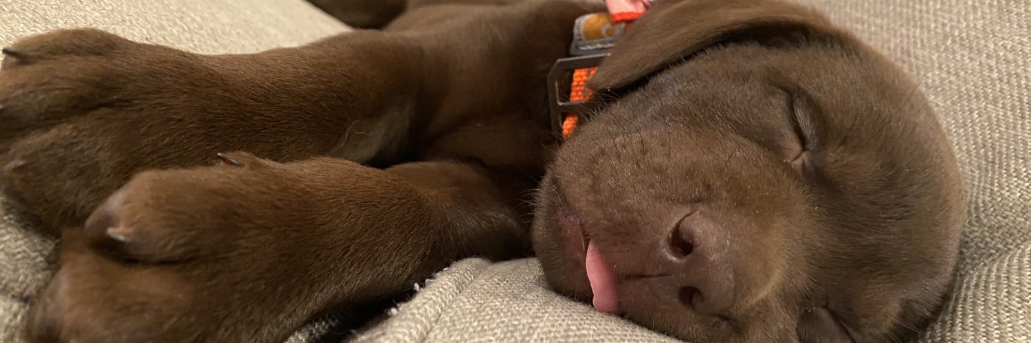 ashmorrow_'s profile banner image