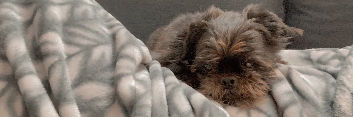 B_BetsyBoo's profile banner image