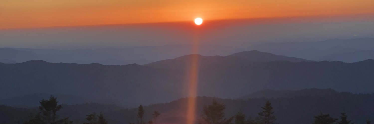 realstevshady's profile banner image