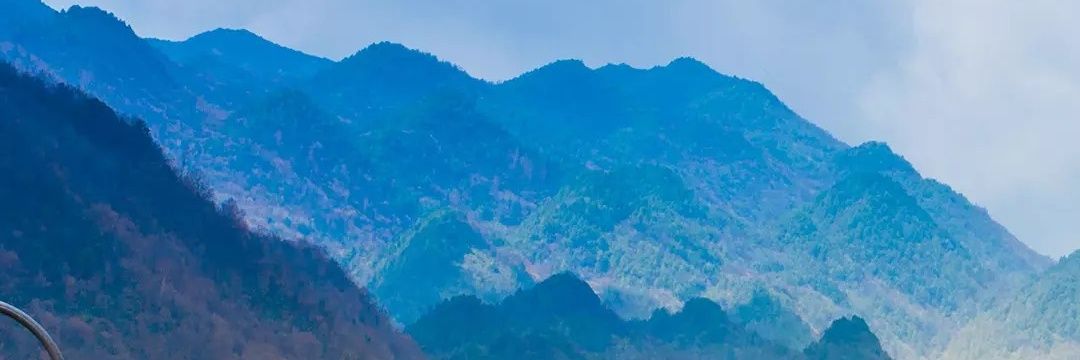 Lissabons's profile banner image