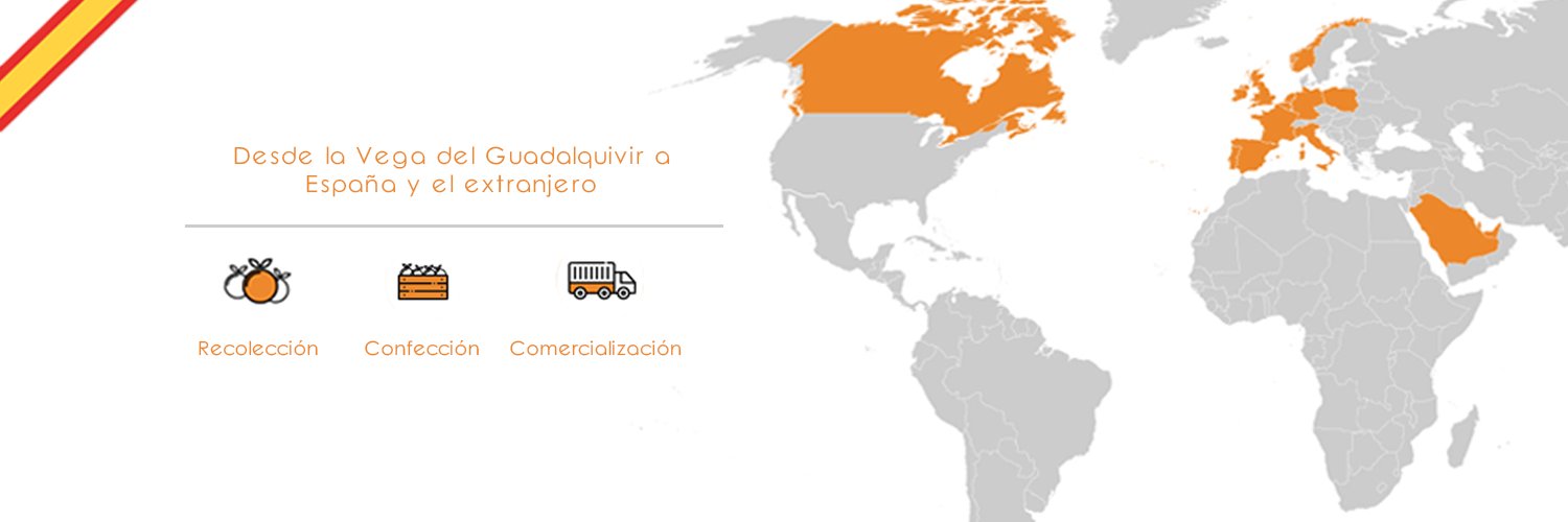 export_orange's profile banner image